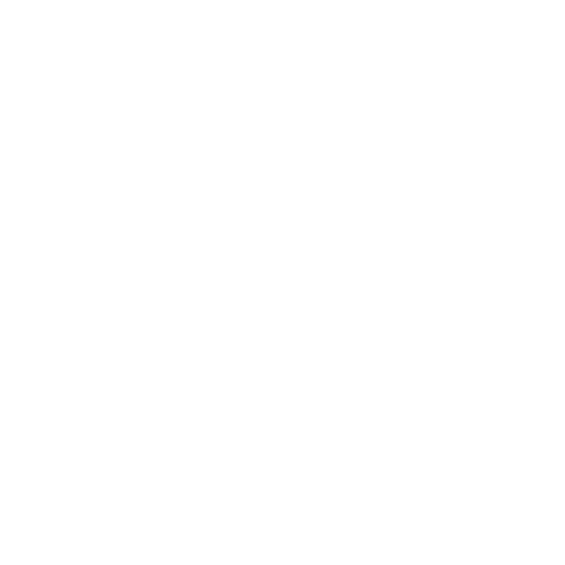 Chatbot & Virtual Assistant Development