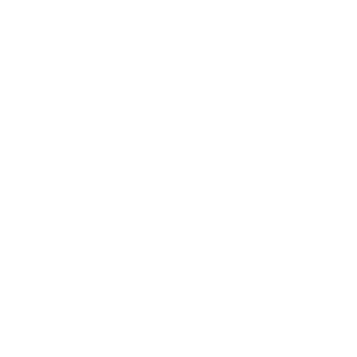 Customization Capabilities