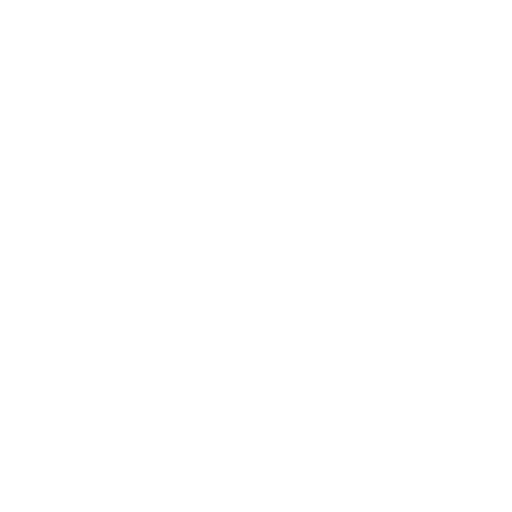 Building Digital Excellence