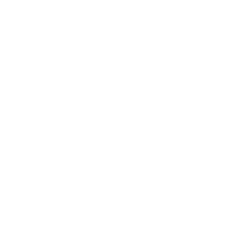 LLM Fine-Tuning Services