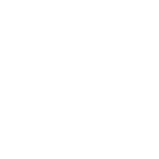 Custom NLP Model Development