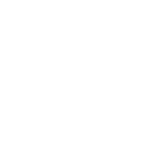 Strategy Development