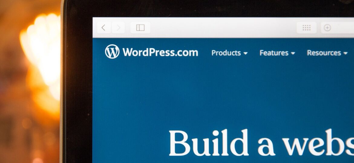 Hire wordpress developer